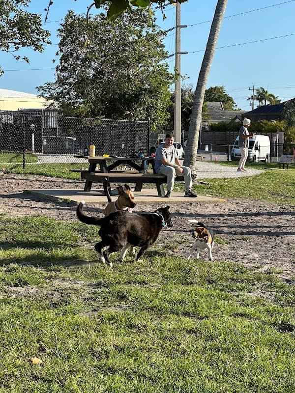 Canine Cove Dog Park - Image 2