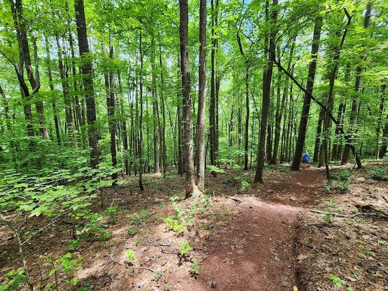 Big Canoe Creek Forever Wild Tract - Image 1