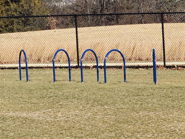 Owens Large Dog Park - Image 1