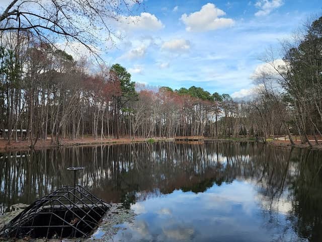 Knightdale Environmental Park - Image 2