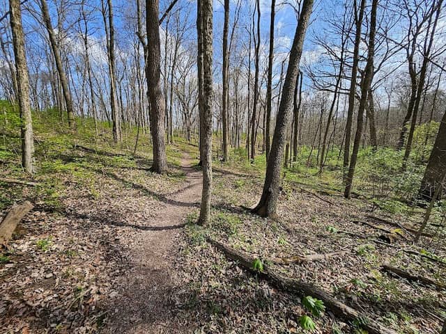 MetroParks Mountain Biking Area - Image 2