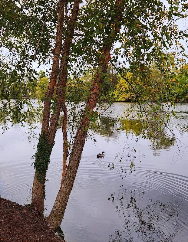 Riverside Park - Image 3