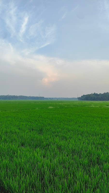 വയലോരകാറ്റ് vayalorakattu - Image 1