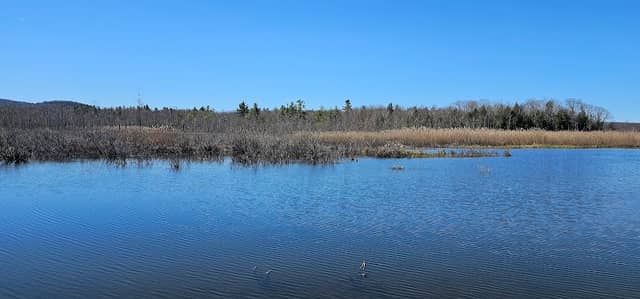 Richmond Fen Wildlife Management Area - Image 1