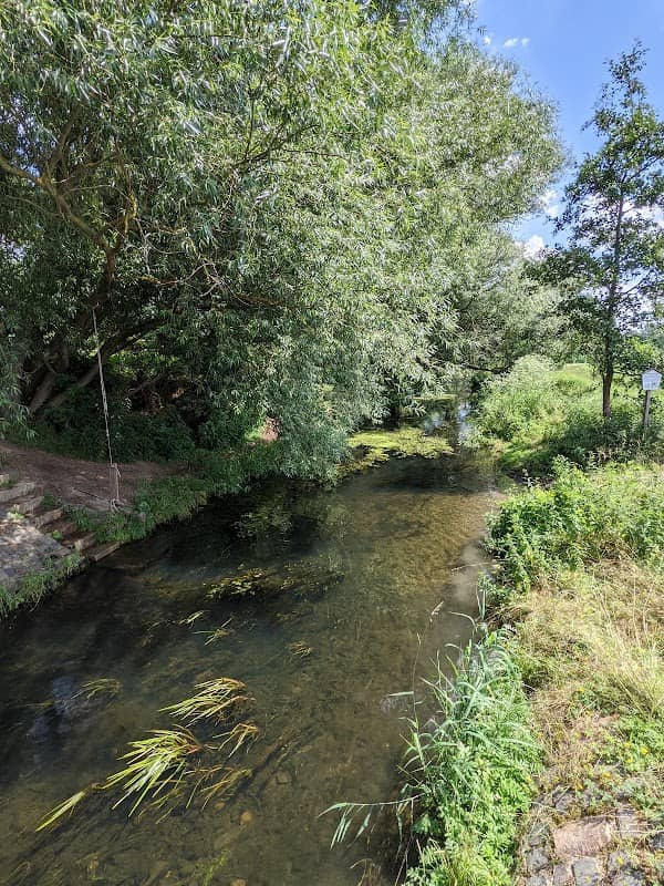 Parthenaue Dewitz - Image 1