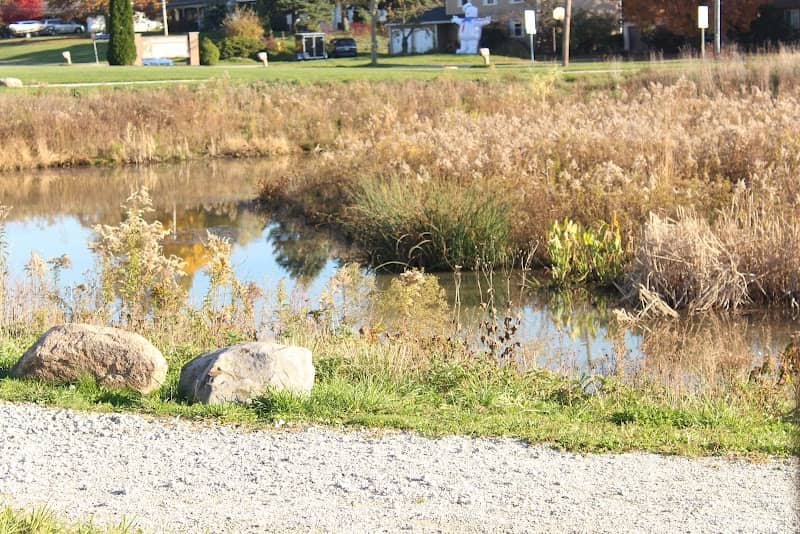 Growing Green Wetlands - Image 2