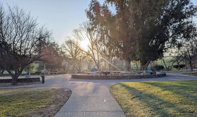 Jensen Family Grove - Image 1