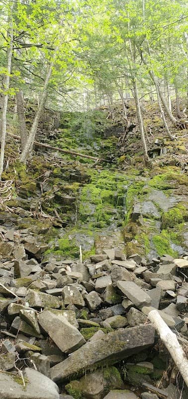 Seven Falls - Margaretsville - Image 2