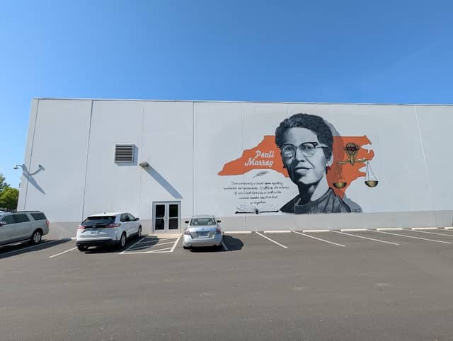 Pauli Murray Mural - Image 3