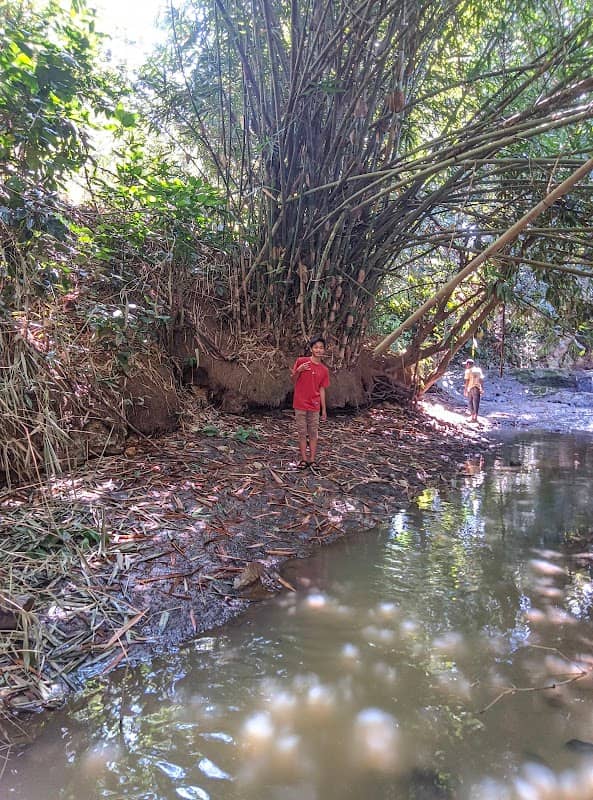 Terjun tabak - Image 1