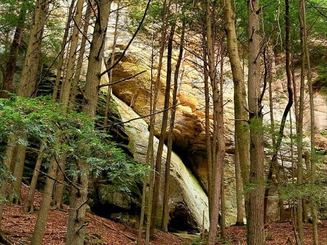 Buzzard's Roost - Image 1