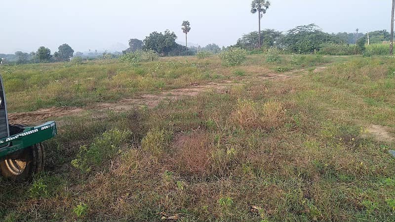 Hemanth mango field - Image 1