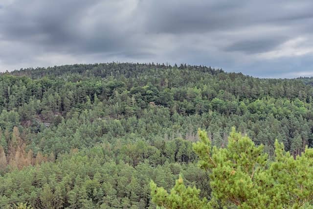 Heidestein - Image 2