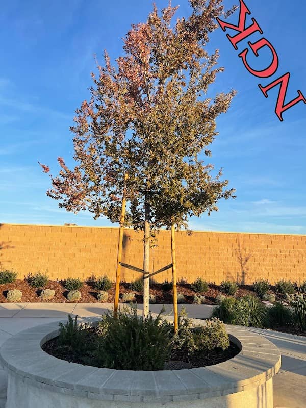 California Dawn Park - Image 1