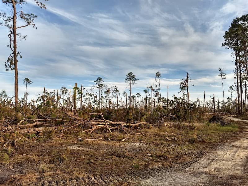 Apalachee Wildlife Management Area - Image 1