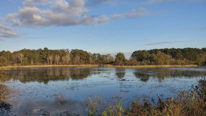 Apalachee Wildlife Management Area - Image 2