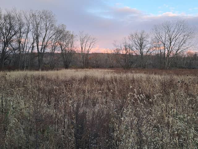 Trailhead - Image 1