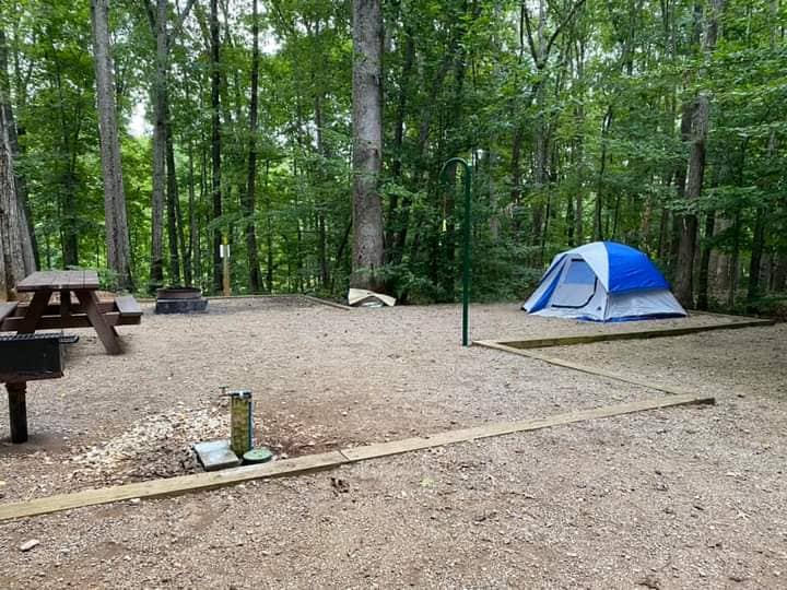 Lake corriher campground - Image 2