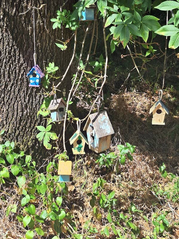 Bird houses - Image 1