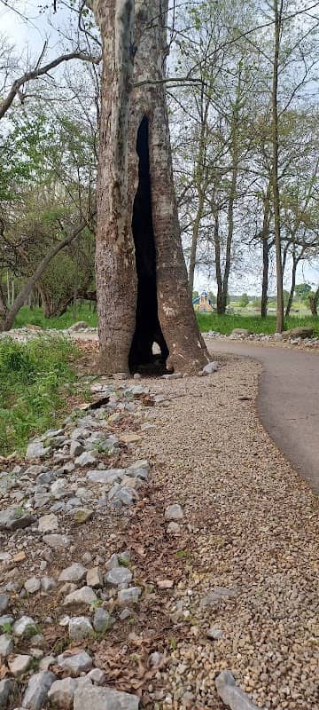 7 Mile Park - Image 1