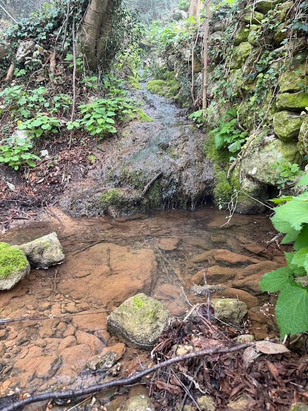 Riserva di caccia 2 - Image 1