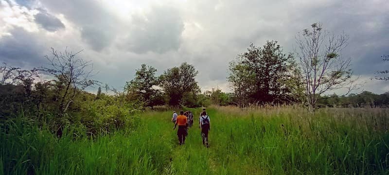 Chippenham Fen - Image 1