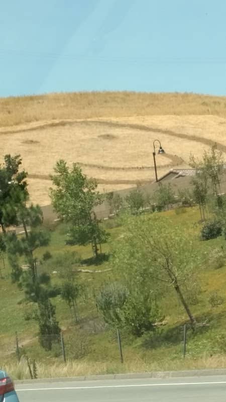 Happy Face Hill - Image 4
