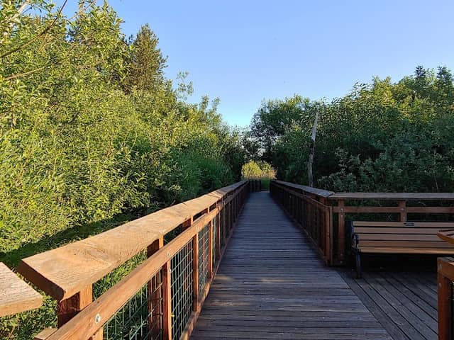 Auburn Environmental Park - Image 1