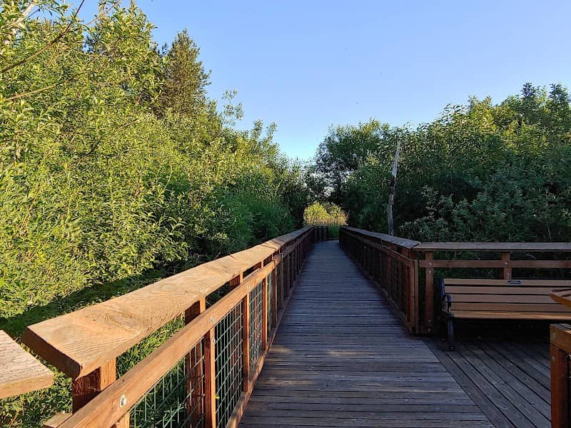 Auburn Environmental Park - Image 1