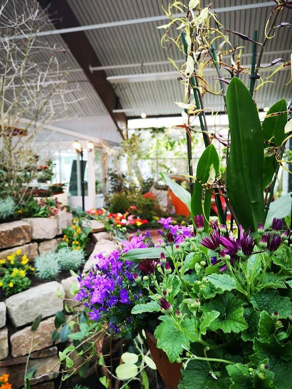 Blumenhalle & Gartenpark Wiesmoor - Image 1