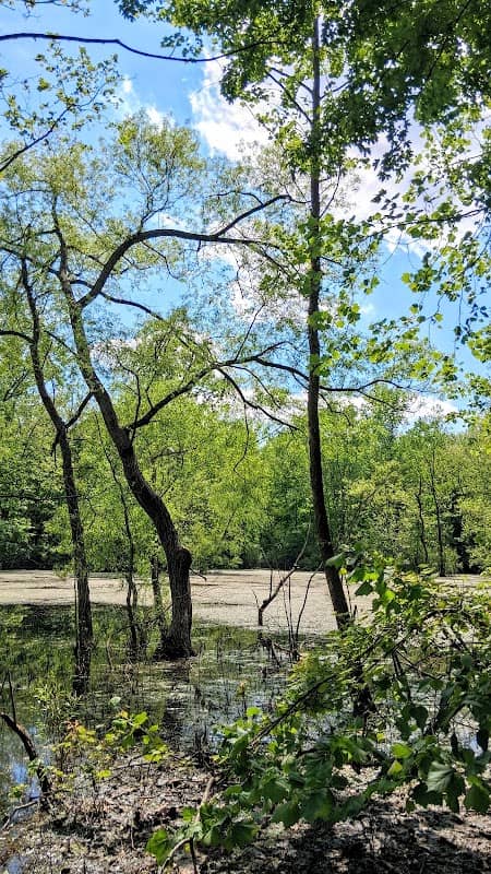 Rangeline Nature Preserve - Image 3