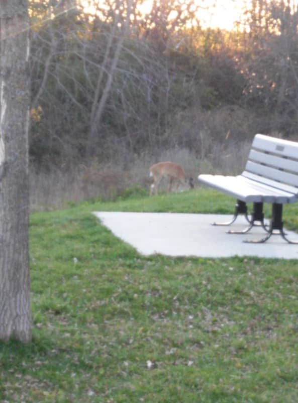 Spring Greenway Park - Image 1