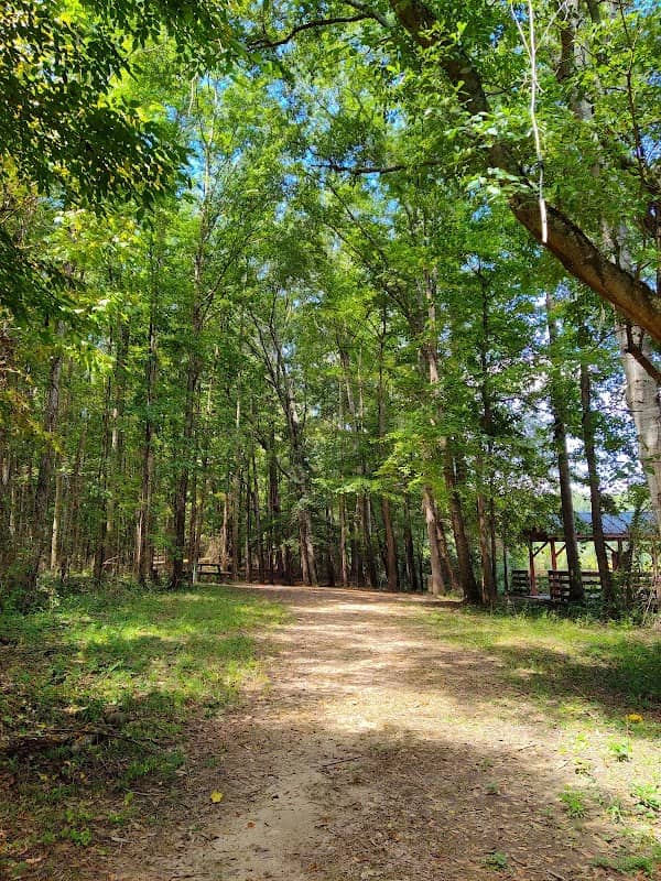 Big Haynes Nature Trail - Image 1