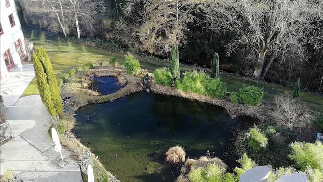 Mövenpick-Brunnen - Image 2