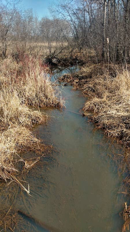 Priory Neighborhood Preserve - Image 3