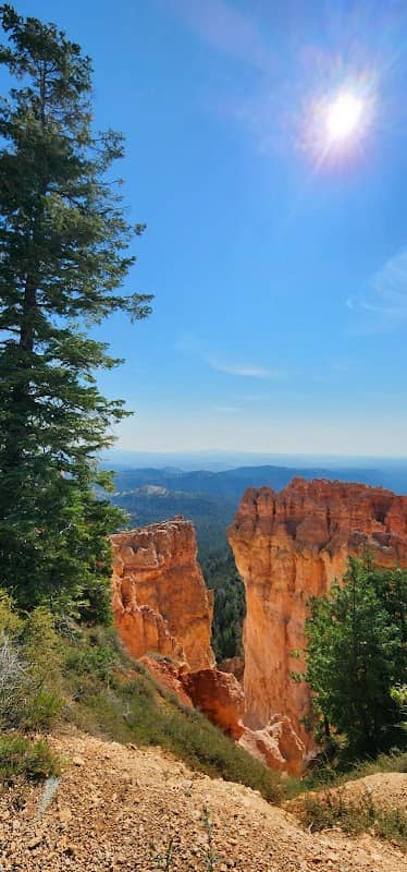 Pink Cliffs - Image 1
