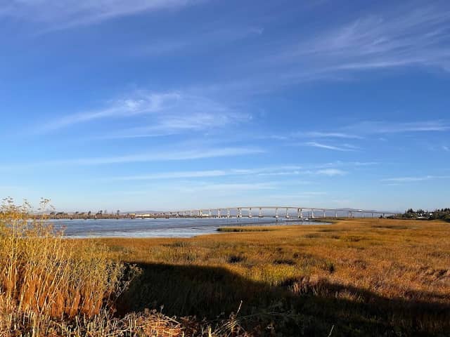 River Park - Image 1