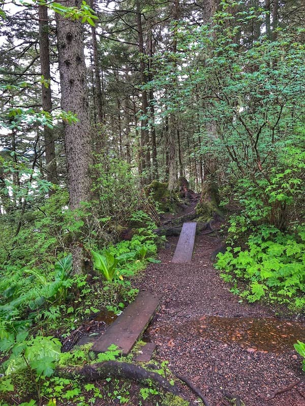Mendenhall Peninsula Trail - Image 2