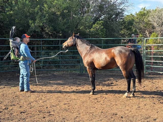 robisons ranch - Image 1