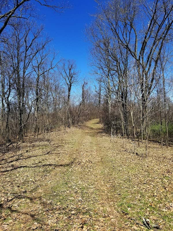 Sideling Hill Wildlife Management Area - Image 1