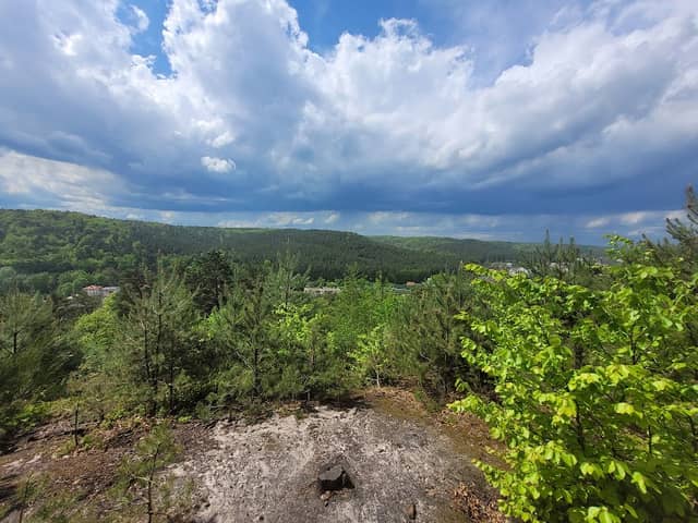 Panorama na Demptowo i Trojmiejską Obwodnicę - Image 1