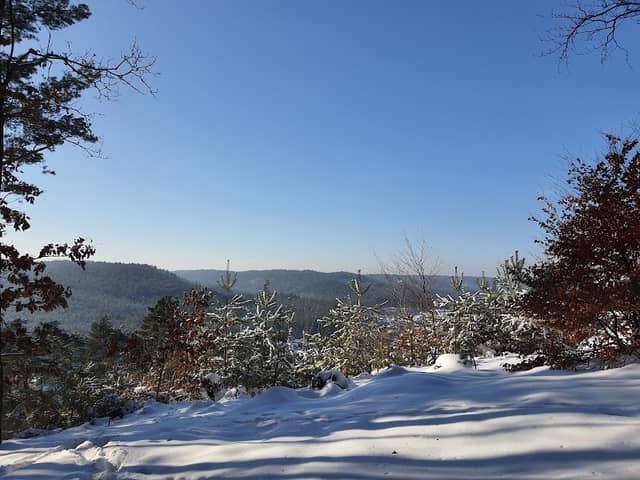 Panorama na Demptowo i Trojmiejską Obwodnicę - Image 2