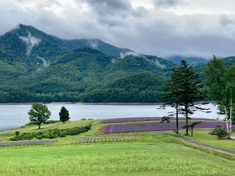Lake Kanayama Lavender Field - Image 1