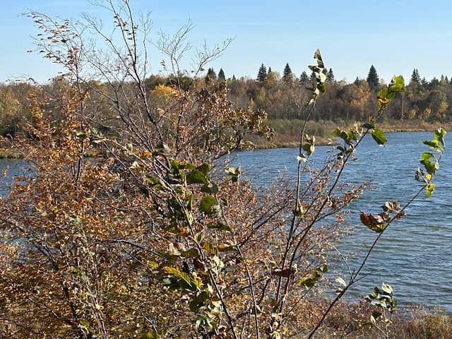 Bertram Chain of Lakes Campground - Image 2