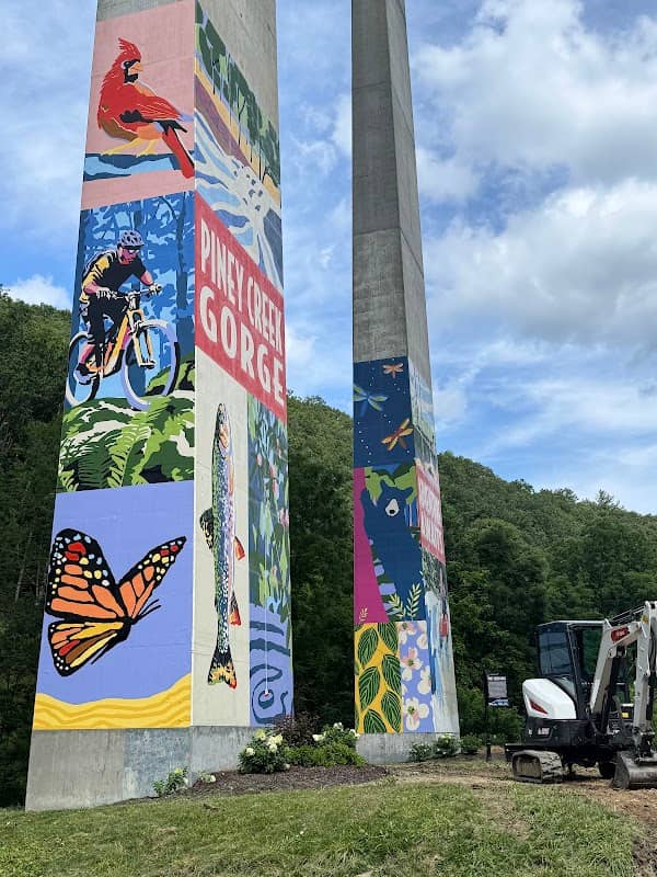Bridge Pier Murals - Image 1