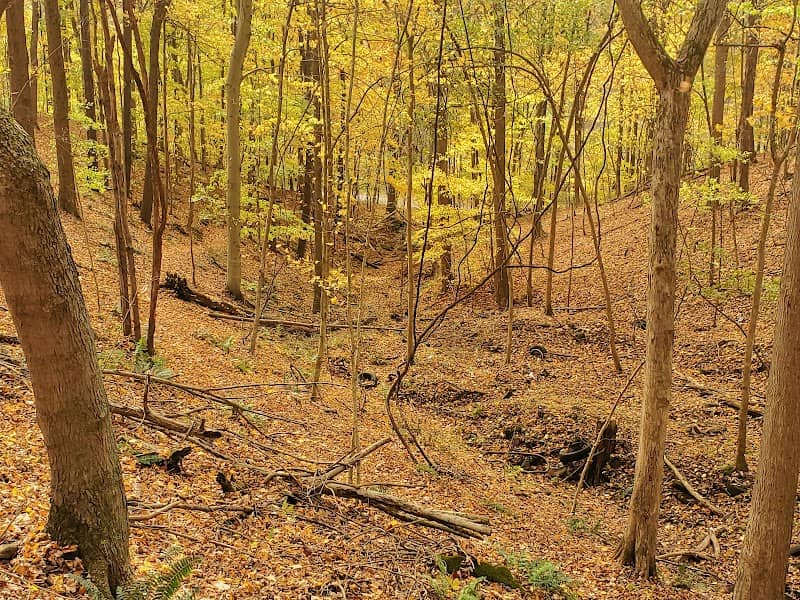 Vultures Knob - Image 2