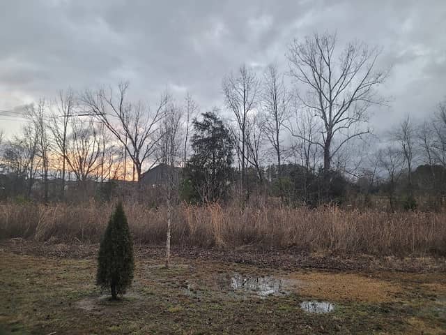 South Prong Rocky River Greenway Trailhead - Image 2