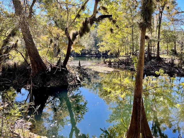 Little Awesome Preserve - Image 1