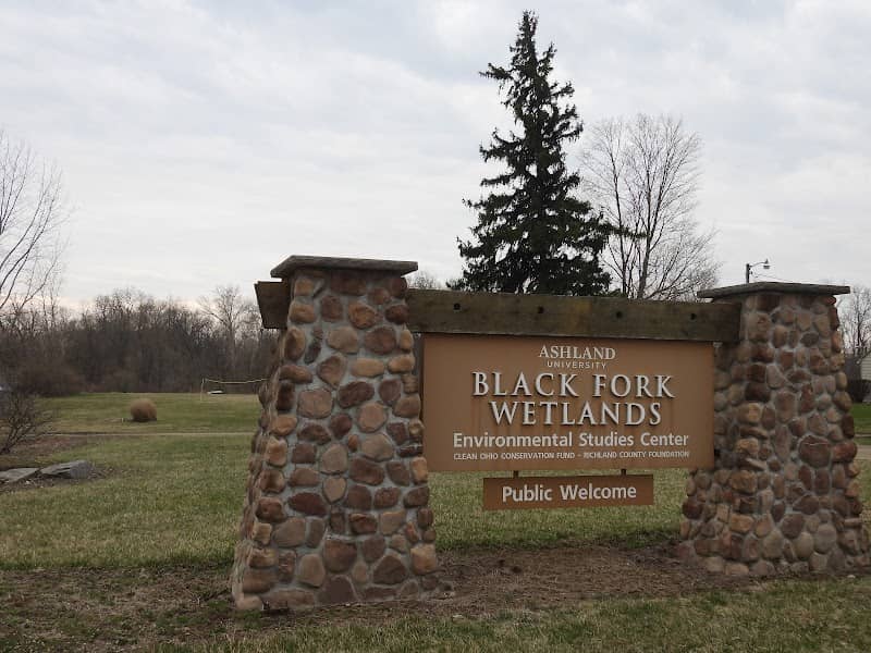 Blackfork Wetlands - Image 2