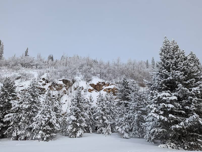 Whistler Park - Image 1